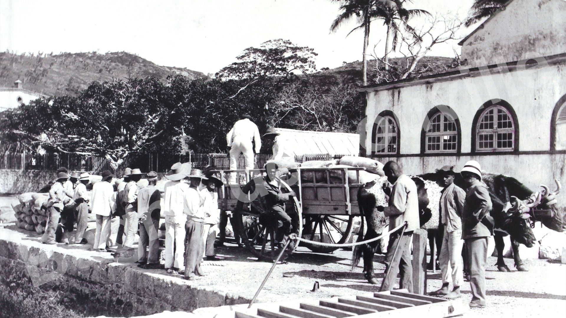 image ancien de Crane wharf